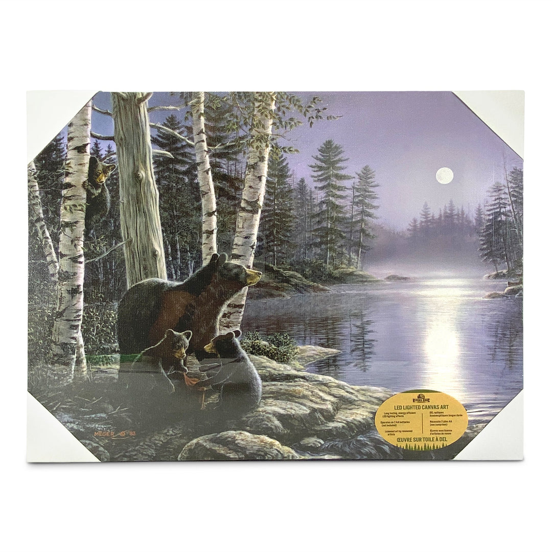 LED Art 16-inches by 12-inches - Moon-Bears