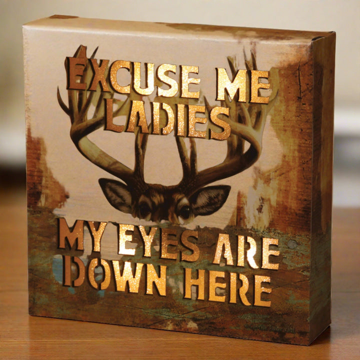 LED Box 6in x 6in - Excuse Me Ladies