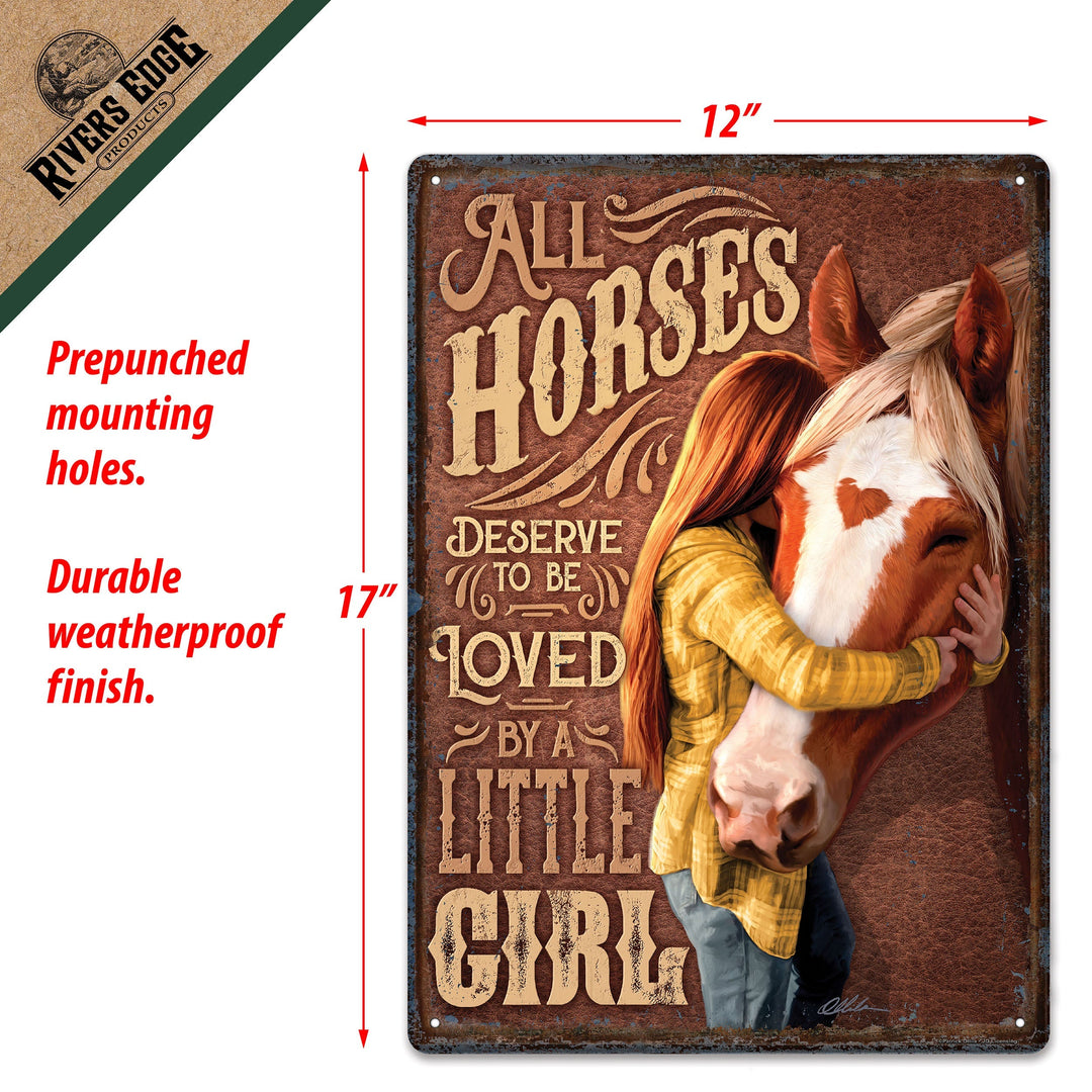 Metal Tin Signs, Funny, Vintage, Personalized 12-Inch x 17-Inch - Horse Little Girl