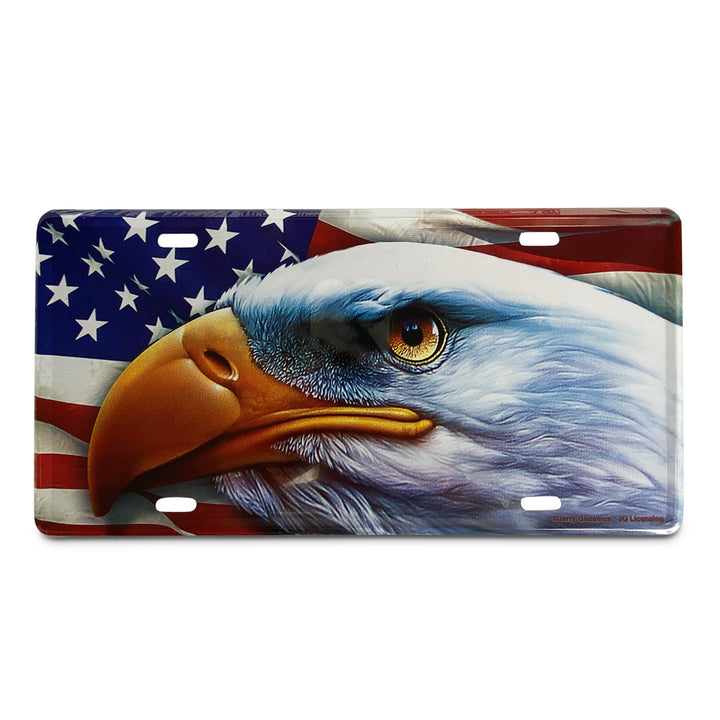 Vanity License Plate 12in x 6in - American Eagle