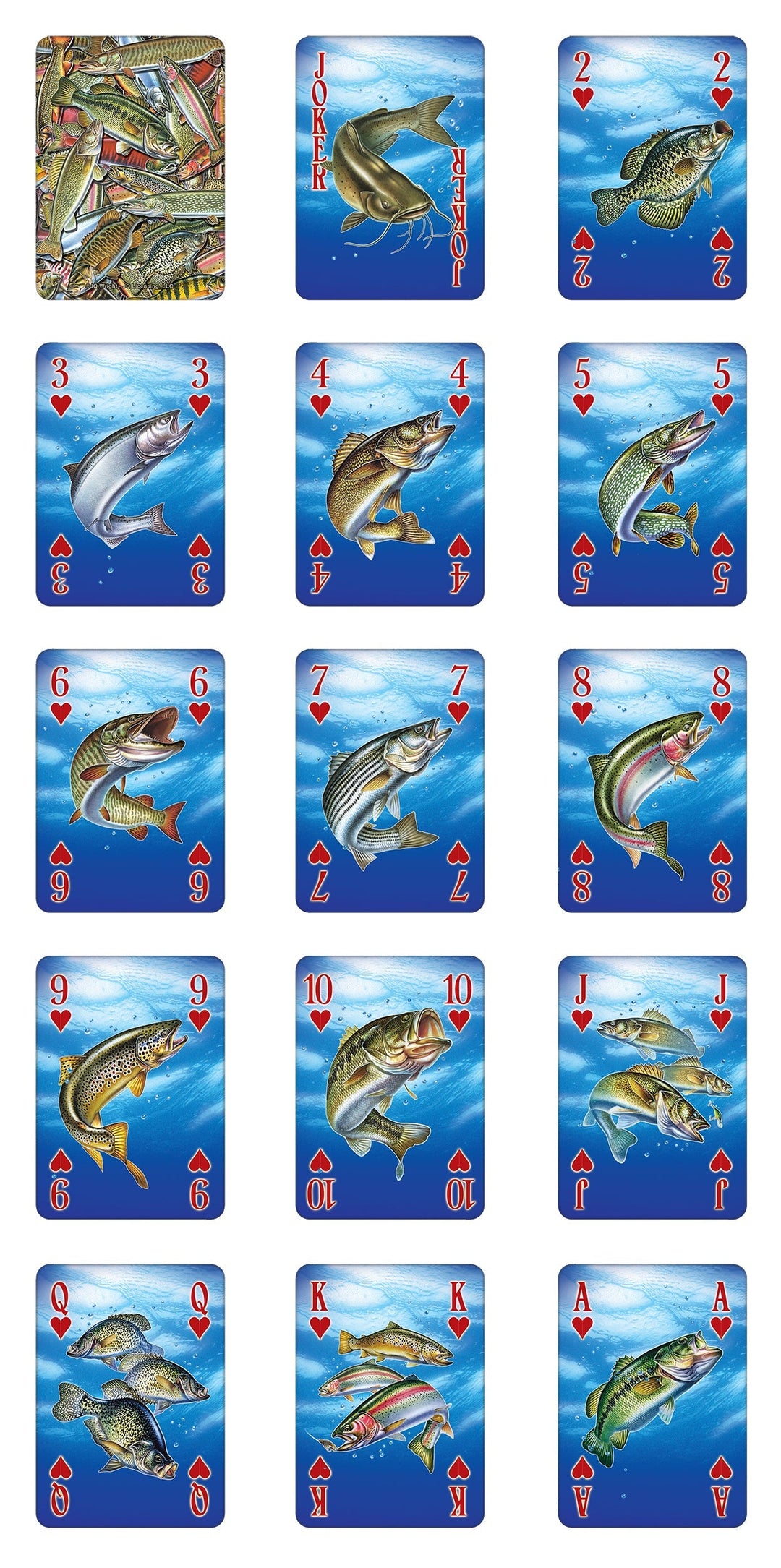 Playing Cards - Fish Bass (Minimum 12 per Display)