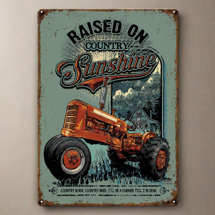 Metal Tin Signs, Funny, Vintage, Personalized 12-Inch x 17-Inch - Raised on Sunshine