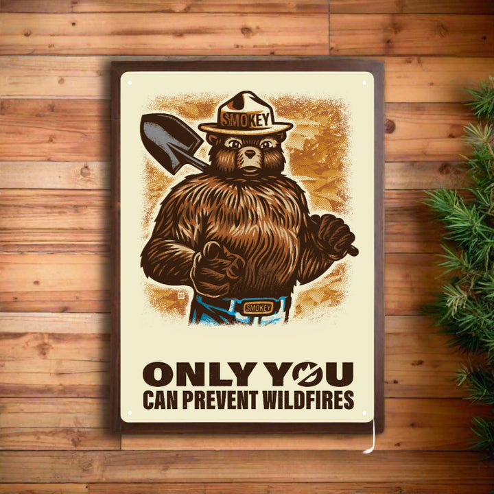 Metal Tin Signs, Funny, Vintage, Personalized 12-Inch x 17-Inch - Only You Can Prevent Wildfires