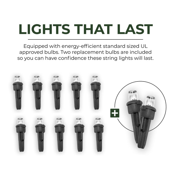 LED Light Set 10-Light - Edison Bulb